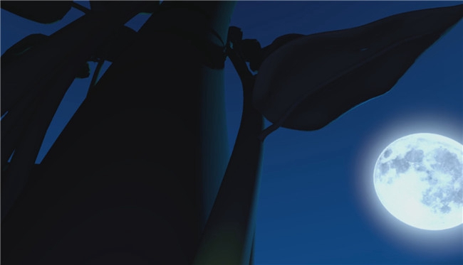 1498027910387671.jpg 4.jpg