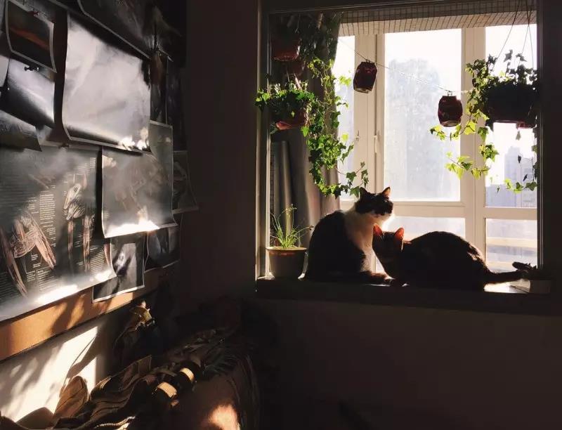 1499847423647086.jpg 微信图片_20170710101359.jpg