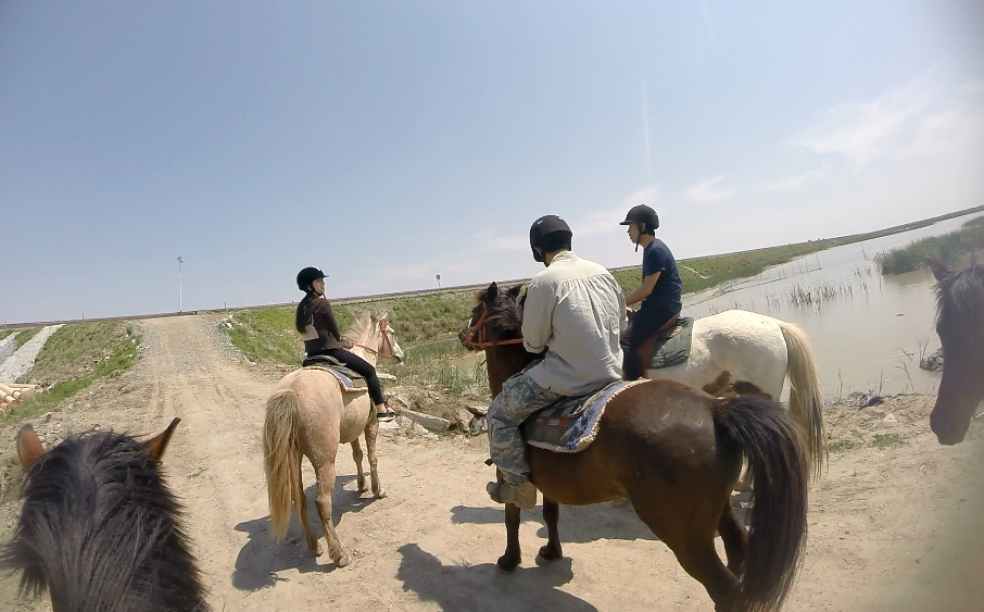 1499848125741626.png QQ截图20170503234901.png